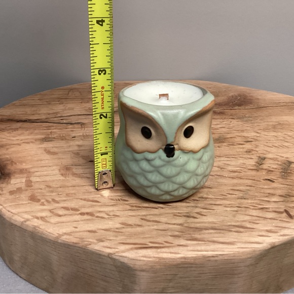 Owl Wood Wick Candle - Repurposed Planter - Gingerbread Vanilla Scent - Unique - Picture 8 of 10